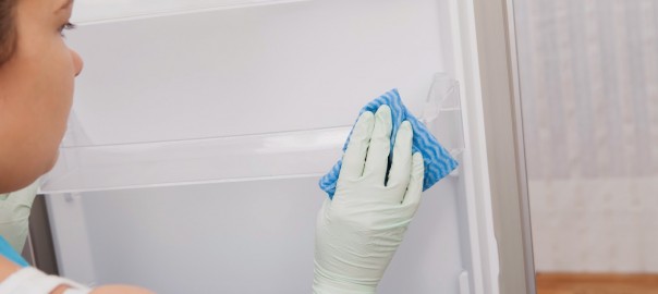 Cleaning Refrigerator Gasket | Suffolk County Refrigeration Service