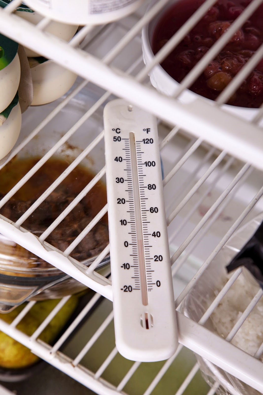 Ideal Refrigerators Temperature
